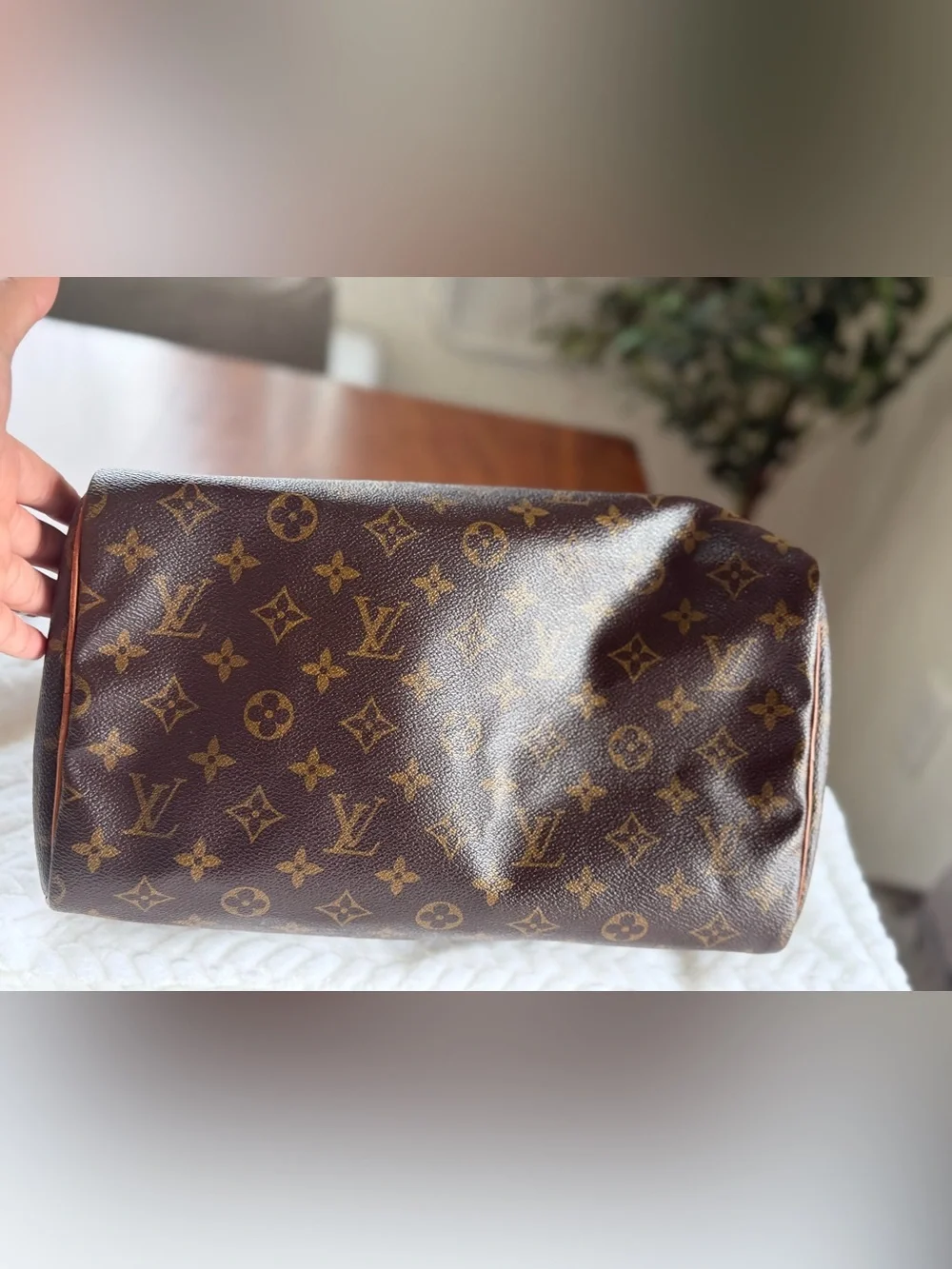 Louis Vuitton Monogram Canvas Duffel Bag in Brown and Tan